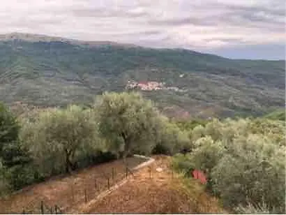 Casa Di Elena Apartment Villa San Pietro